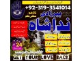 online-istikhara-for-love-marriage-amil-baba-in-karachipakistan-black-magic-kala-jadu-specialist-in-uk-denmark-small-1