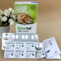 drontal-tablets-for-cats-8-tablets-big-0