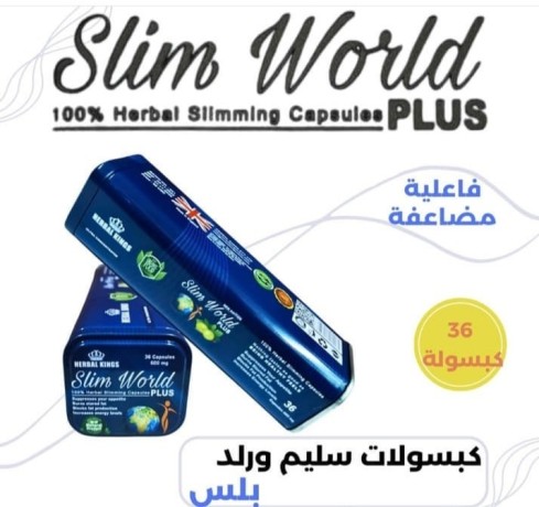 slym-orld-bls-lltkhsys-slim-world-plus-big-0