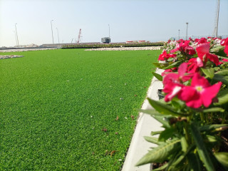 لاند سكيب Land scape