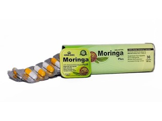 للتخسيس مورينجا بلس Moringa Plus