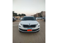 skoda-kodyak-2021-ksr-zyro-small-0