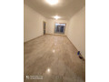 shk-llaygar-bmdyn-alshykh-zayd-apartment-for-rent-in-sheikh-zayed-city-small-4