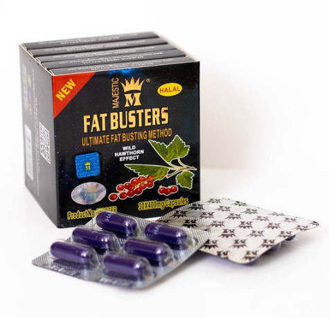 fat-bastrz-lltkhsys-fat-busters-big-0