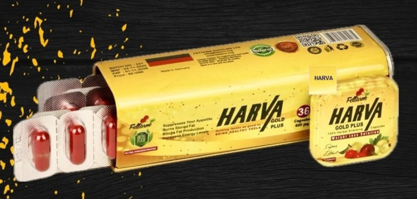 harfa-gold-bls-lltkhsys-harva-gold-plus-big-0