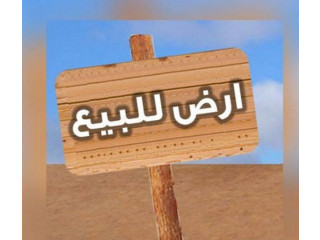 العتبة باب الشعرية شارع الجيش