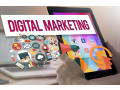 senior-digital-marketing-specialist-small-0