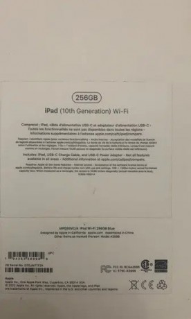 ipad-10th-256-wi-fi-big-1