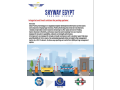 ntham-adar-moakf-alsyarat-parking-management-system-pms-ako-barkyng-systm-f-alshrk-alaost-comunello-small-0