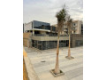 shk-156m-fy-galyrya-mon-faly-alkahr-algdyd-llbyaa-apartment-in-galleria-moon-valley-small-0