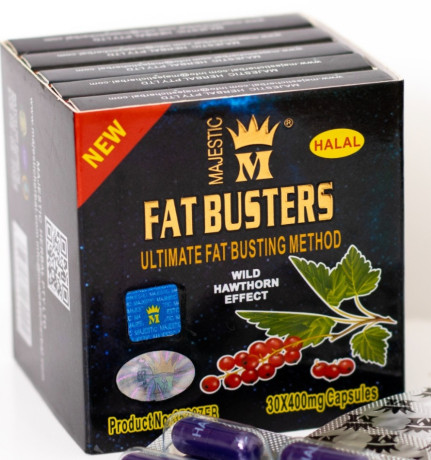 fat-bastrz-lltkhsys-fat-busters-big-0