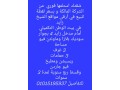 shk-llbyaa-fy-alshykh-zayd-mn-almalk-mbashr-small-0