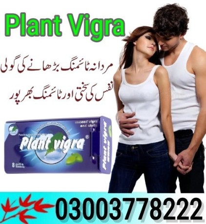 plant-vigra-price-in-karachi-03003778222-big-0