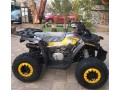 atv-tao-motor-125cc-bytsh-bagy-small-3