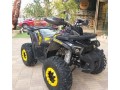 atv-tao-motor-125cc-bytsh-bagy-small-0