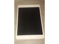 ipad-mini-1-aybad-myny-1-small-0