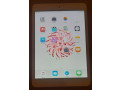 ipad-mini-1-aybad-myny-1-small-3