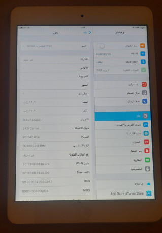 ipad-mini-1-aybad-myny-1-big-4