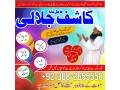 top-10-black-magic-specialist-dubai-uk-amal-taweez-amliyat-amil-bab-small-0