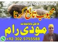 asli-amil-baba-kala-jadu-in-lahore-uk-usa-japan-small-3